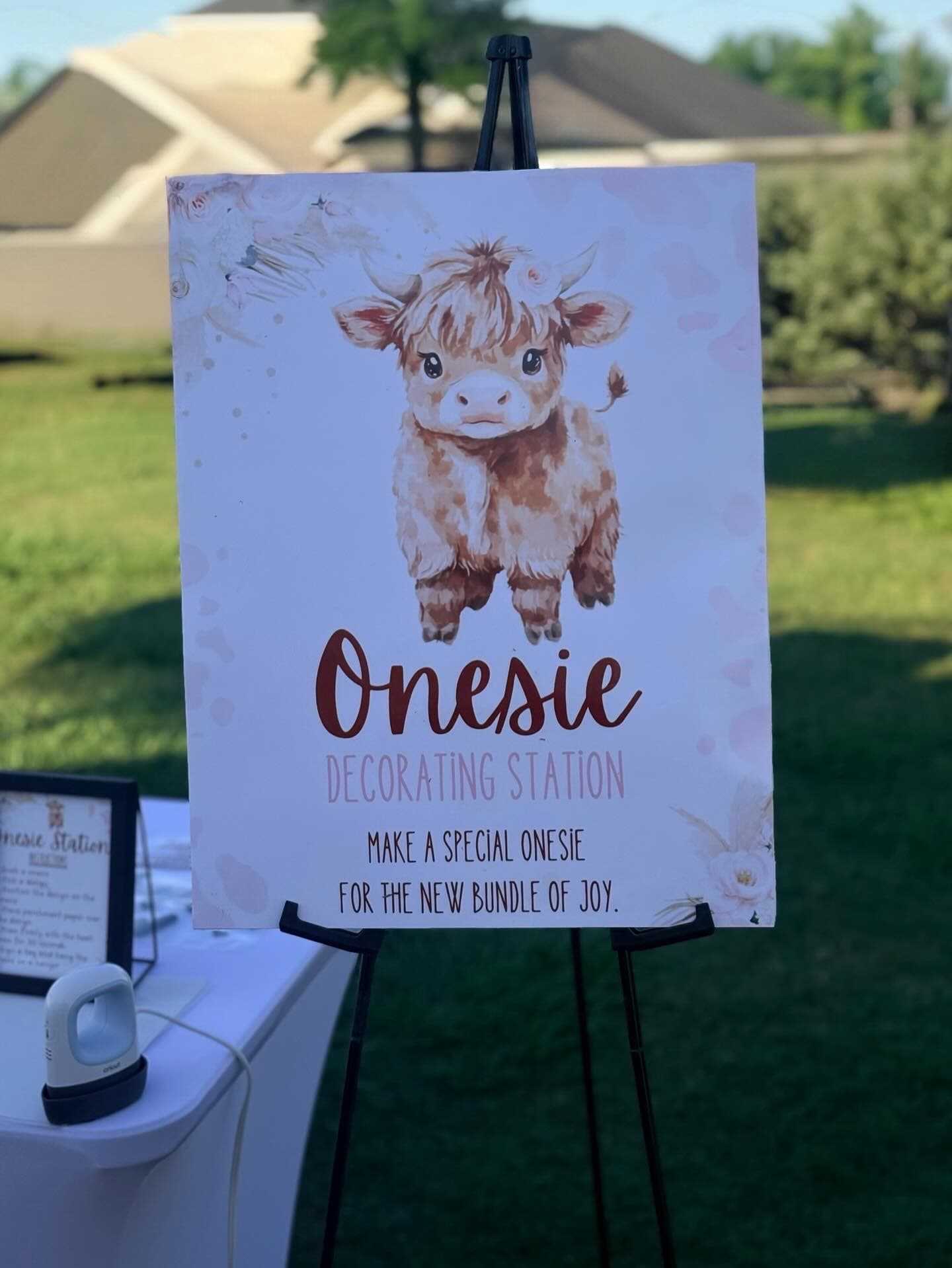 Custom onesie decorating experience
